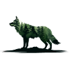 Wolf - Wild Nature