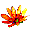 Flower, A730948 1