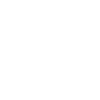 Politiker, Beamter, Gesetzgeber gewählt