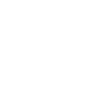 Master of Disaster