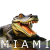 Miami Krokodil