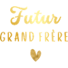 Futur Grand frère-annonce grossesse