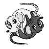Yin Yang souris souris