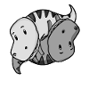 Dinosaure Dino Yin Yang