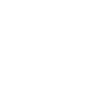 Limited Edition 1984