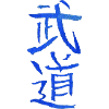 Budo (Japanese martial arts)