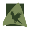Papagei Ara Vogel