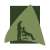 Chiropractor Chiropractor Chiropraktik
