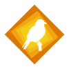 Parakeet Bird Bird Illustration