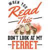 Ferret Lover Ferret Gift