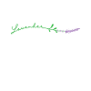 Lavender Garden Plant Environment