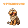 Hunde Erklärung Anatomy eines Otterhound