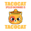 Tacocat Spelled Backwards Kitty Kitten