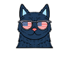 Ameowica chaton, chat domestique, minou