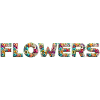 💐🌸🌻 FLOWERS - Flowers 🌻 🌸💐