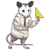 Possum, Math Teacher, School