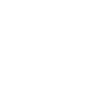 analog player