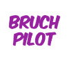 here's a crash pilot