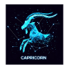 Capricorn constellation geometrique