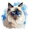 Cat Head Sacred Birman