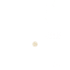 Papa Halterophile