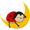 Ladybug - Good Night