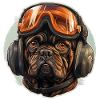 Pug Pilot