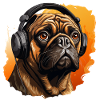 Mops mit Kopfhörer