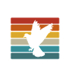 Taubenzucht