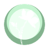 Botany Herbology Flora