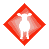 Cow Beef Beef