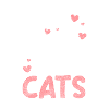 Cats, Pet, Meow