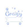 Cat Meow Animal