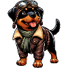 Rottweiler Pilot Design