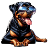 Rottweiler dog design