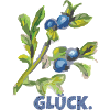 heidelbeere glück