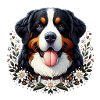 Berner Sennenhund