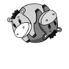 Yin Yang Donkey