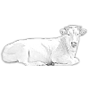 Vache