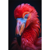 Tropical Animal