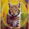 Faune magique