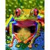 Magical Frog