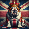 Bouledogue anglais