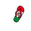 Mexican Mexico Flag