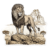 Majestic Lion