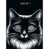 Katze