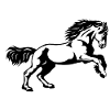 Galop frison