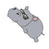 Hippotenuse | Hippopotamus, Mathematics, Hypothenuse