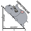 Hippotenuse | Hippopotamus, Mathematics, Hypotenuse
