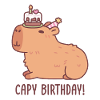 Cute Capybara With Cake On Head Capy Birthday
